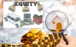 The Role of Private Equity